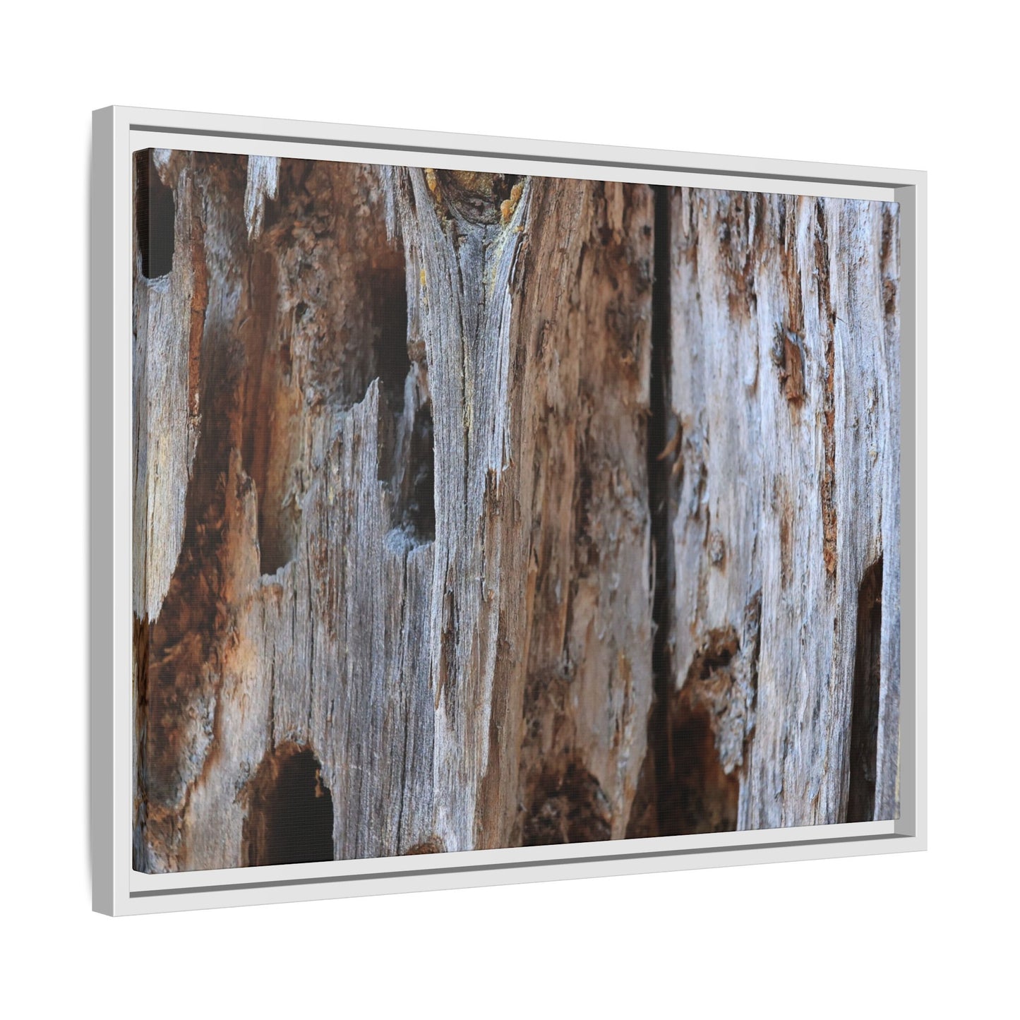Decaying Splendor - Unique Stretched Canvas Wall Art
