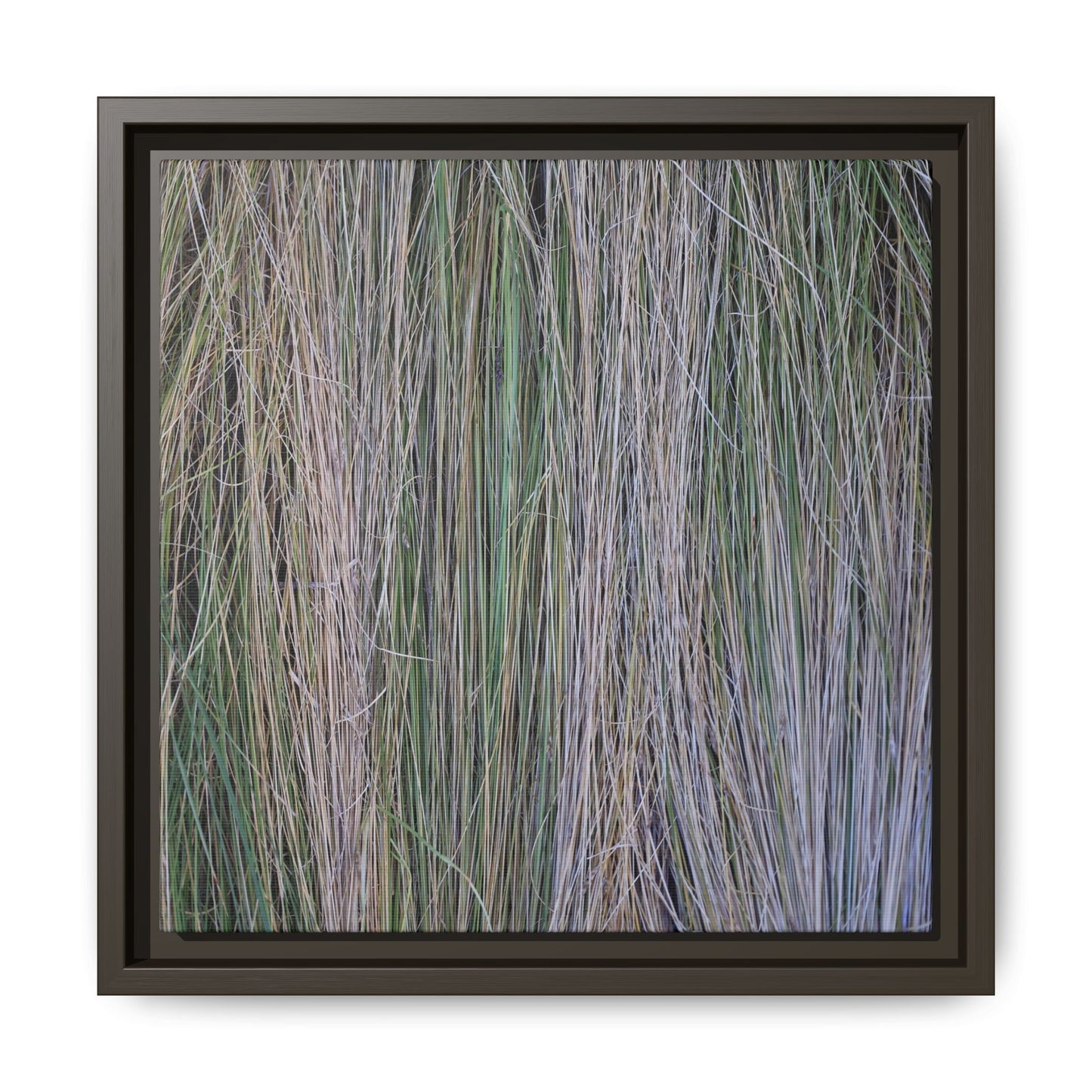 Whispers of Silver Grass - Unique Stretched Canvas Wall Art