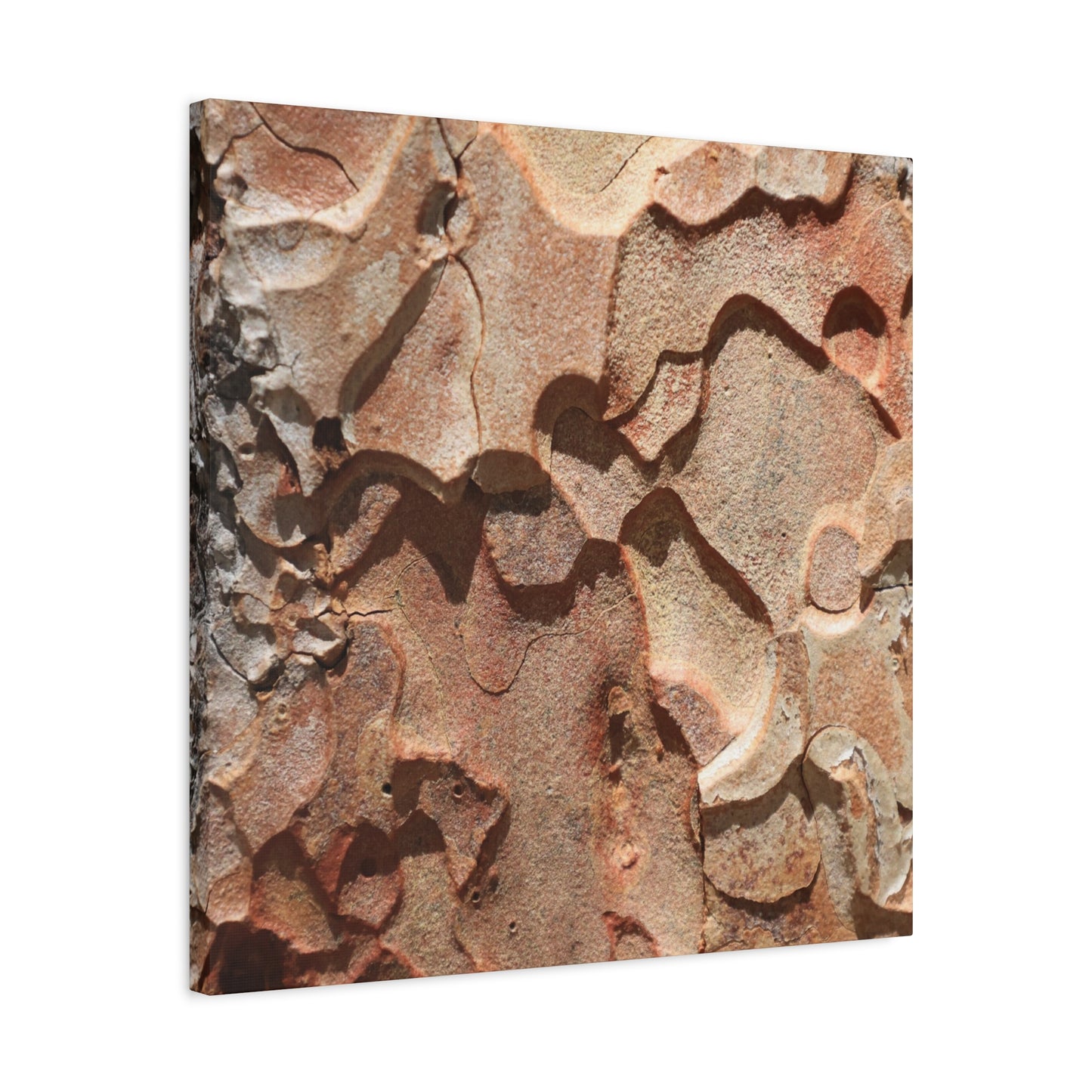 Terracotta Echoes - Unique Frameless Canvas Wall Art