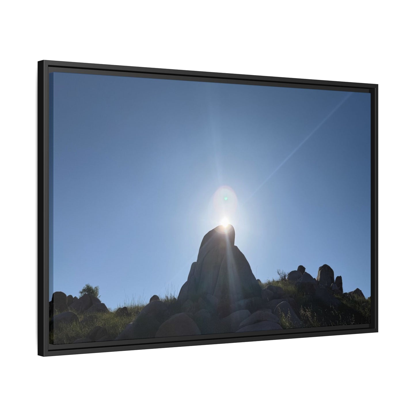 Sunburst - Unique Stretched Canvas Wall Art