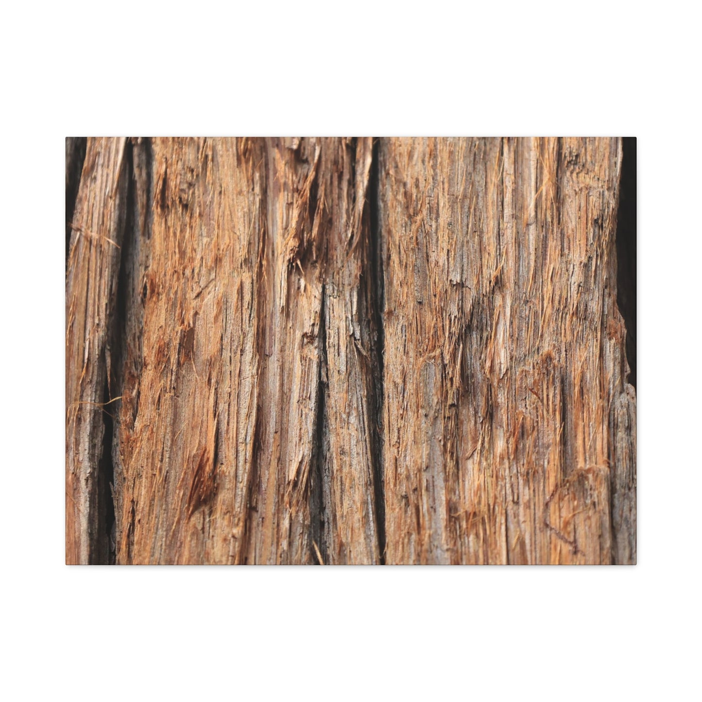 Woodland Echoes - Unique Frameless Canvas Wall Art