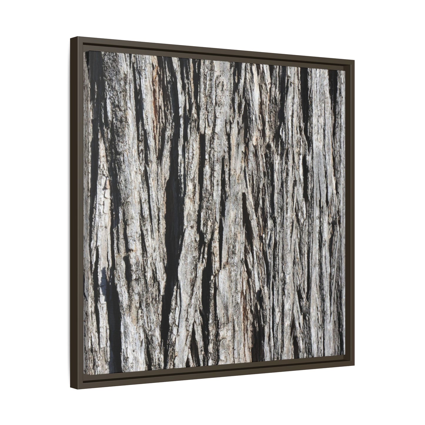 Nature's Abstract - Unique Stretched Canvas Wall Art