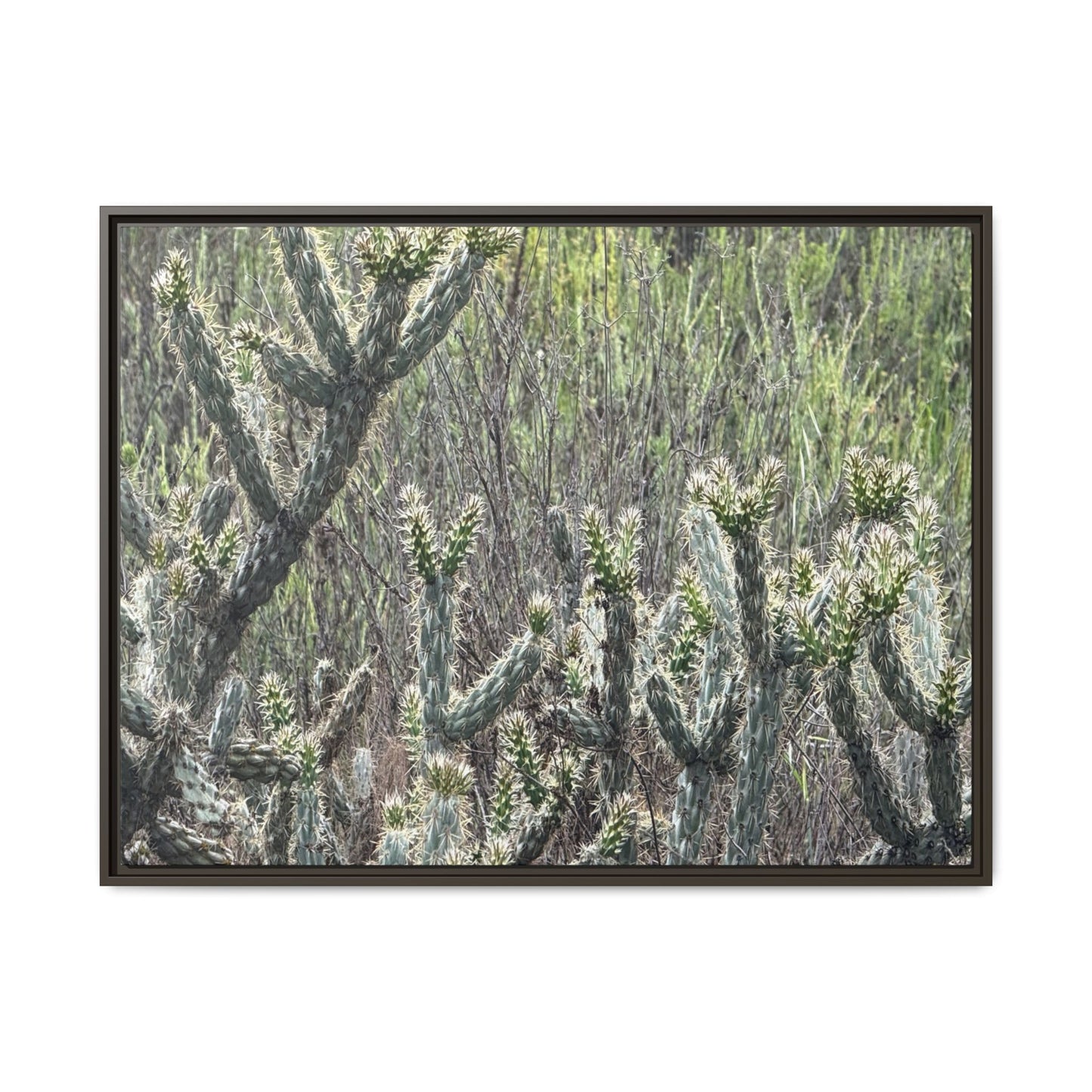 Prickly Paradise - Unique Stretched Canvas Wall Art