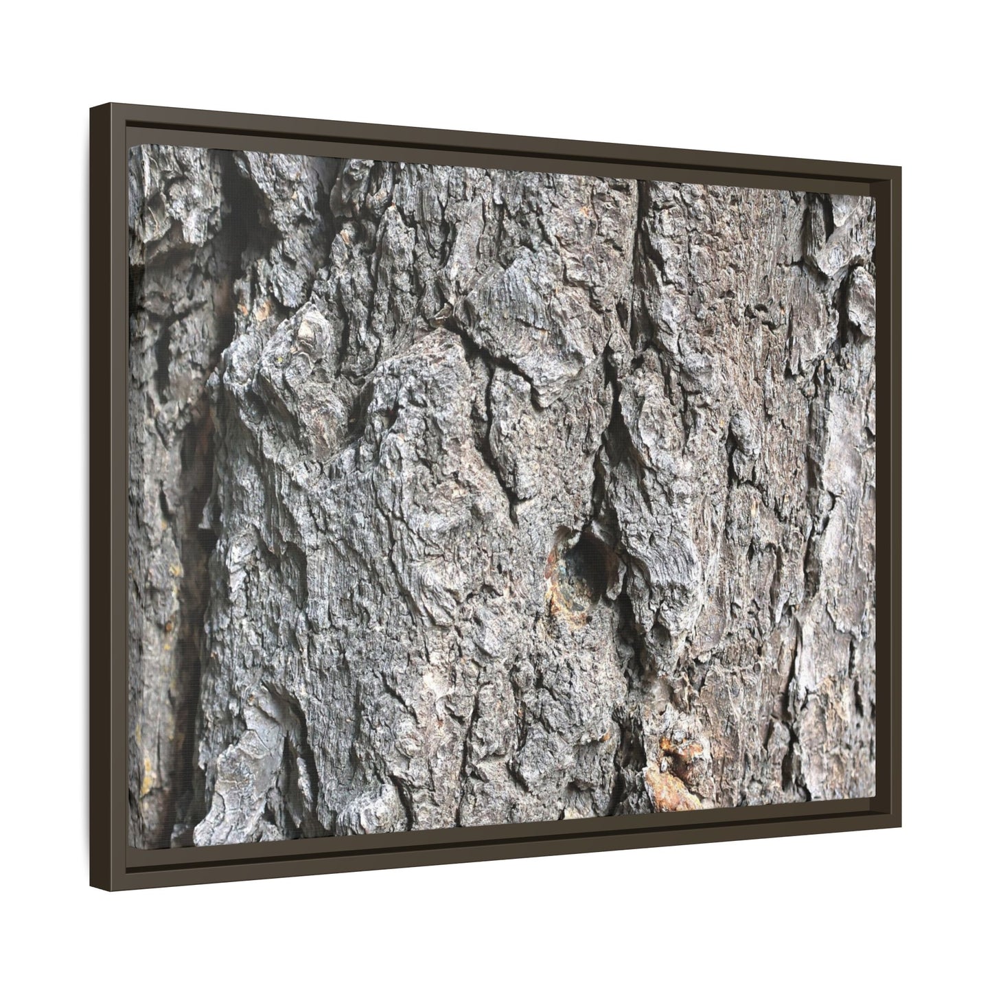 Crusty Exterior - Unique Stretched Canvas Wall Art