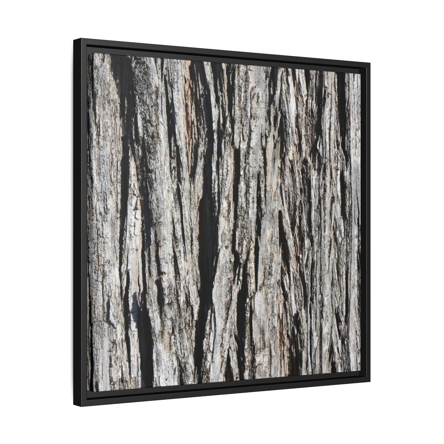 Bark Lines - Unique Stretched Canvas Wall Art