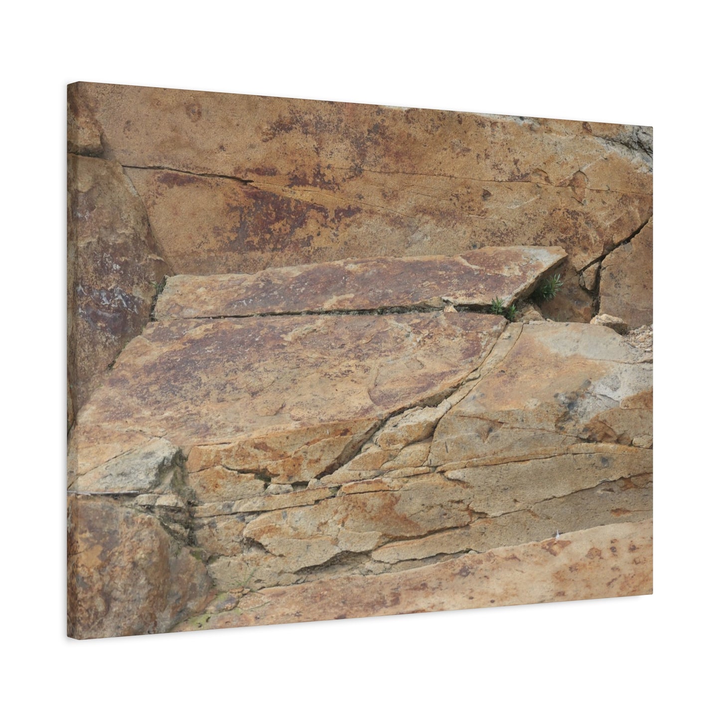 Rocky Terrain - Unique Frameless Canvas Wall Art