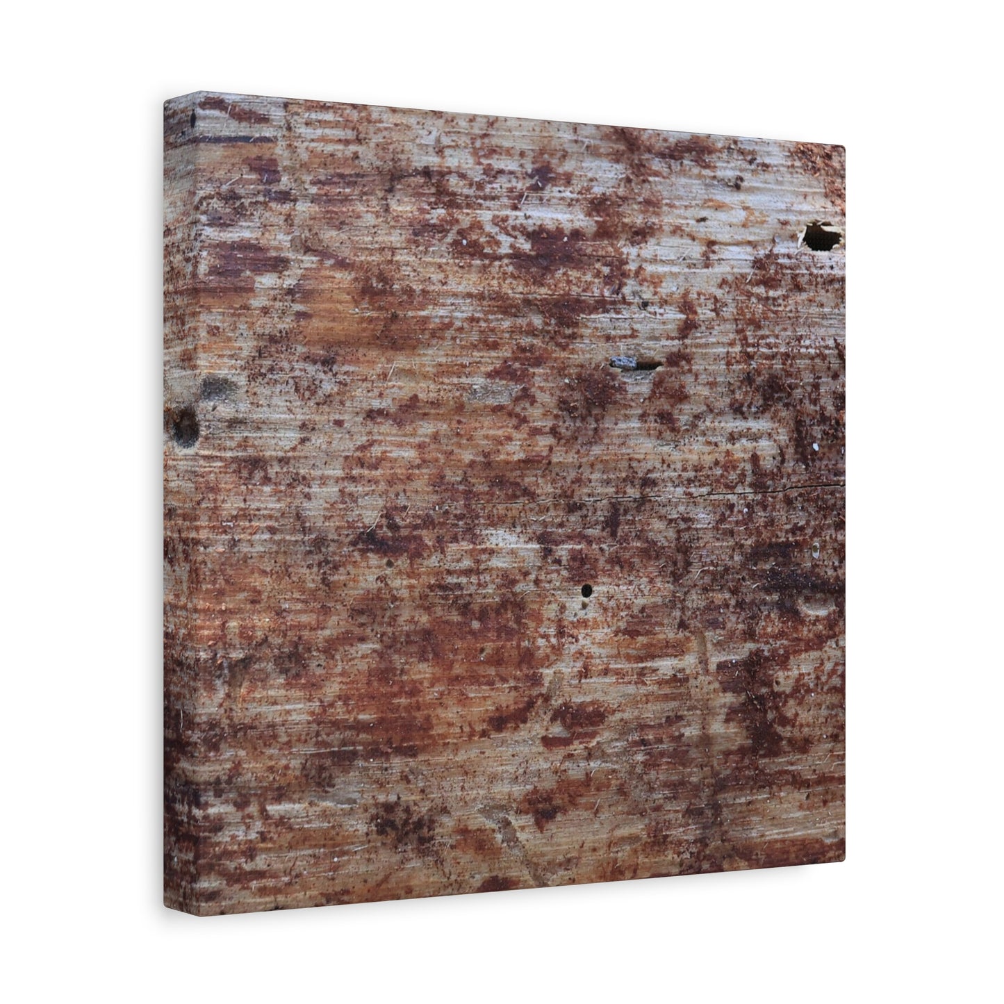 Decaying Memoir - Unique Frameless Canvas Wall Art