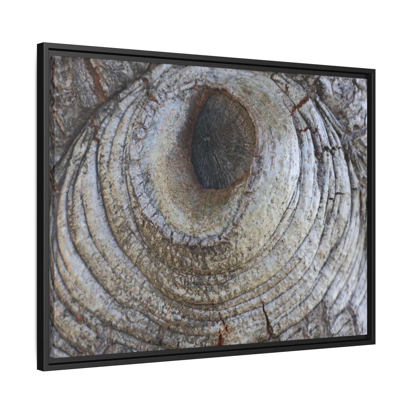 Echoes of Time - Unique Stretched Canvas Wall Art