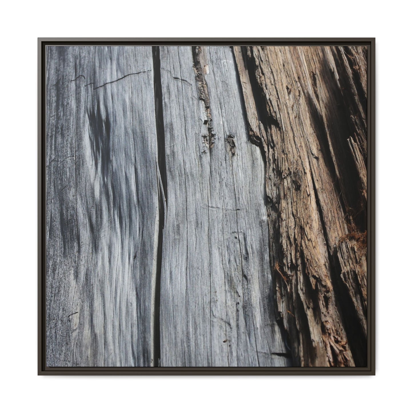 Wood's Lament - Unique Stretched Canvas Wall Art