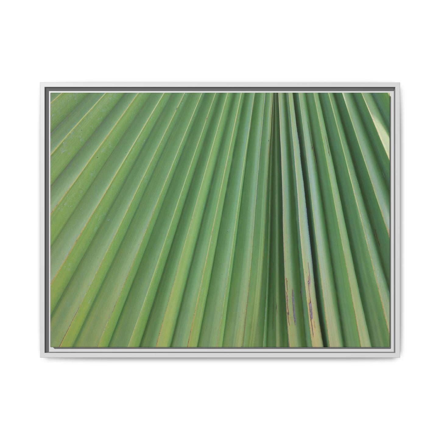 Emerald Rays - Unique Stretched Canvas Wall Art