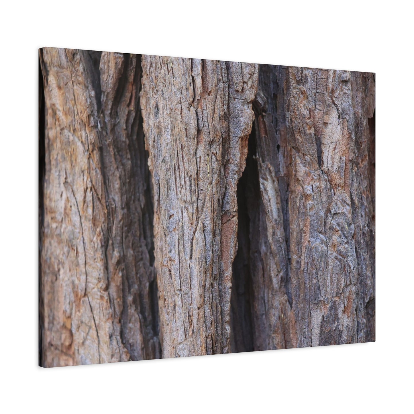 Fractal Skin - Unique Frameless Canvas Wall Art