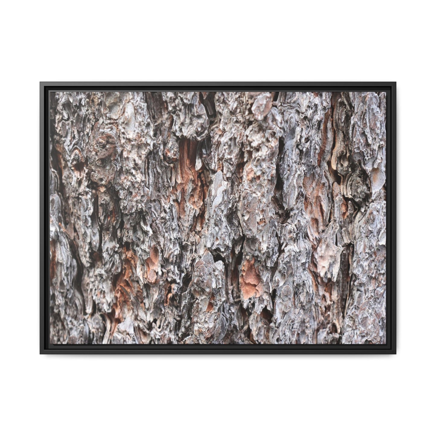 Rugged Cortex - Unique Stretched Canvas Wall Art