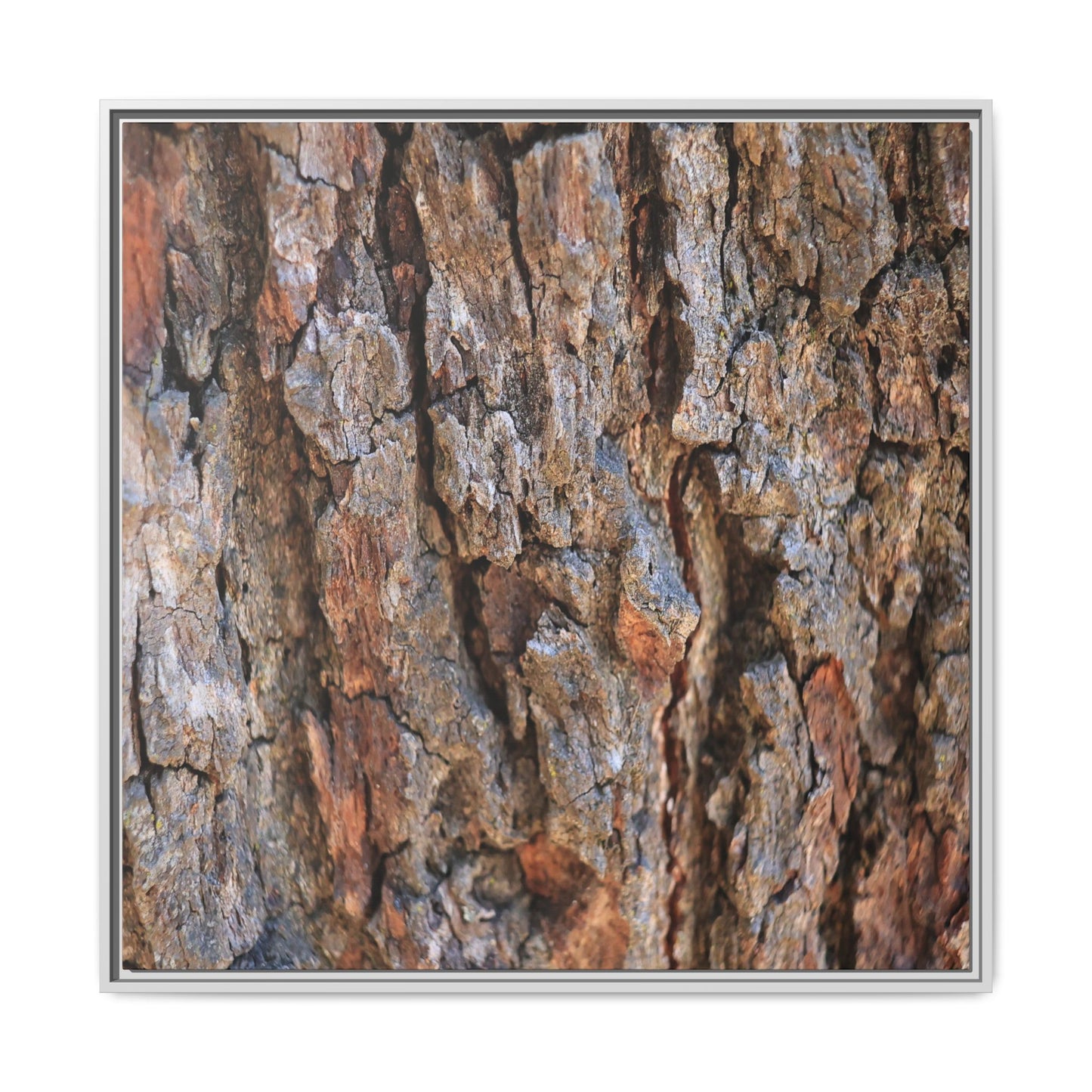 Craggy Textures - Unique Stretched Canvas Wall Art