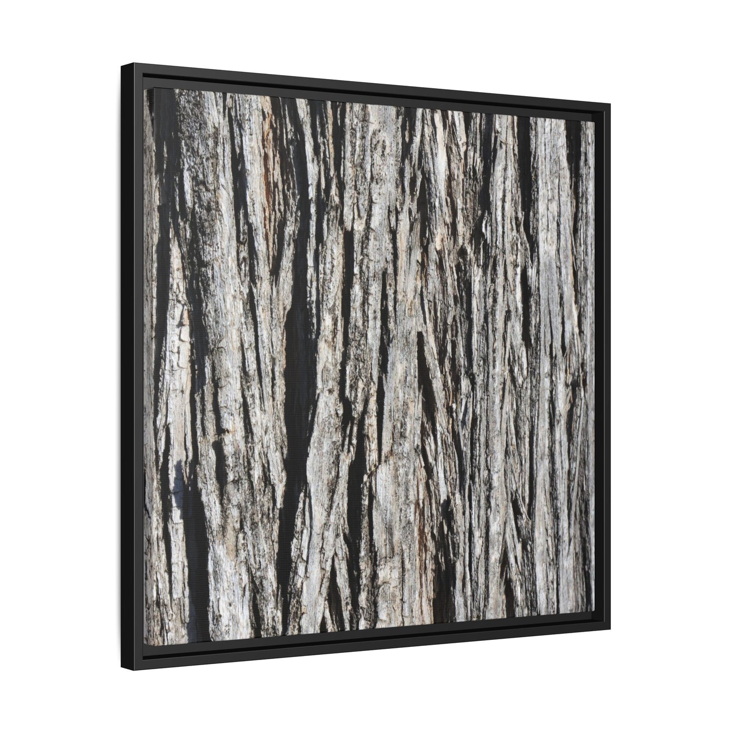 Nature's Abstract - Unique Stretched Canvas Wall Art