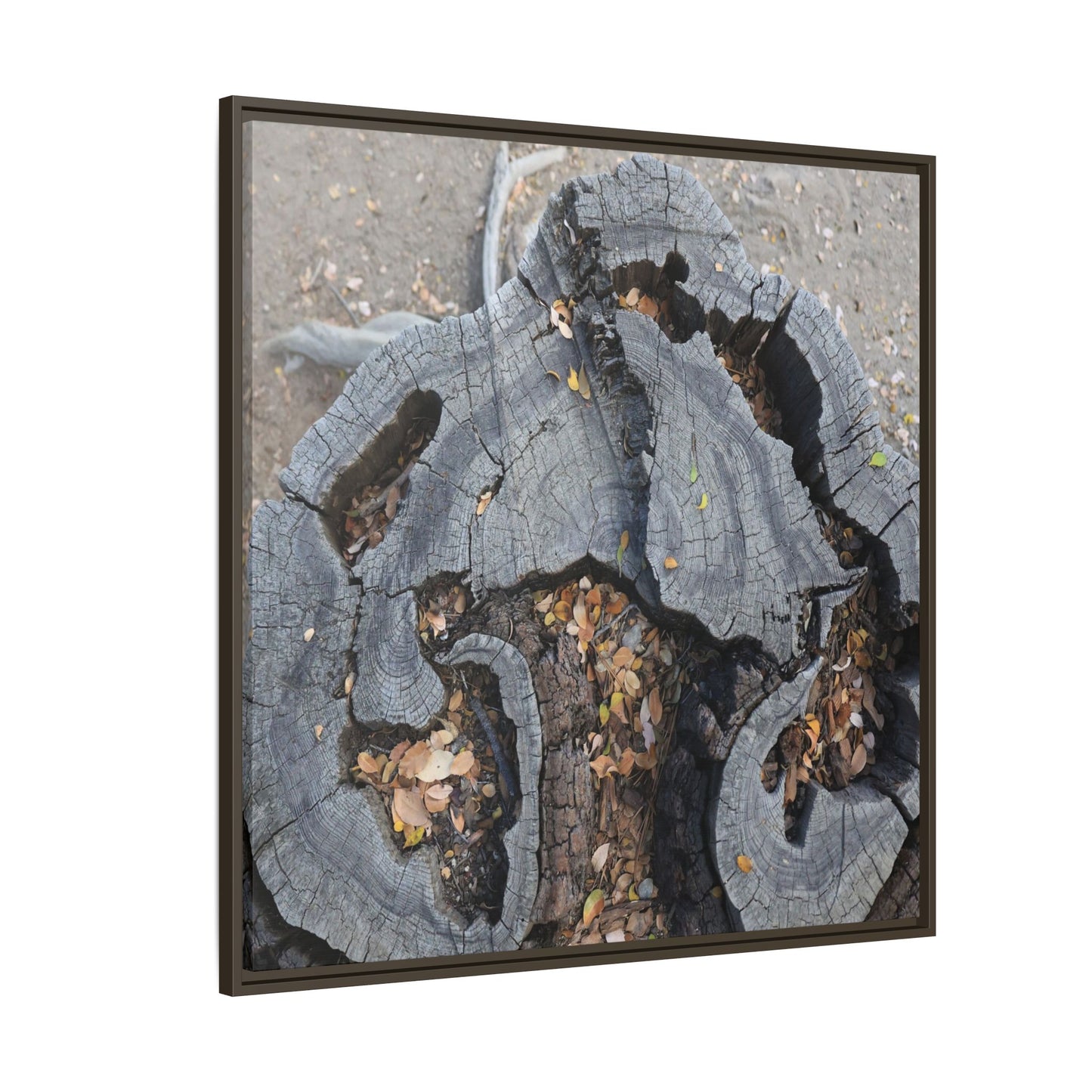 Time's Fractal Memory - Unique Stretched Canvas Wall Art