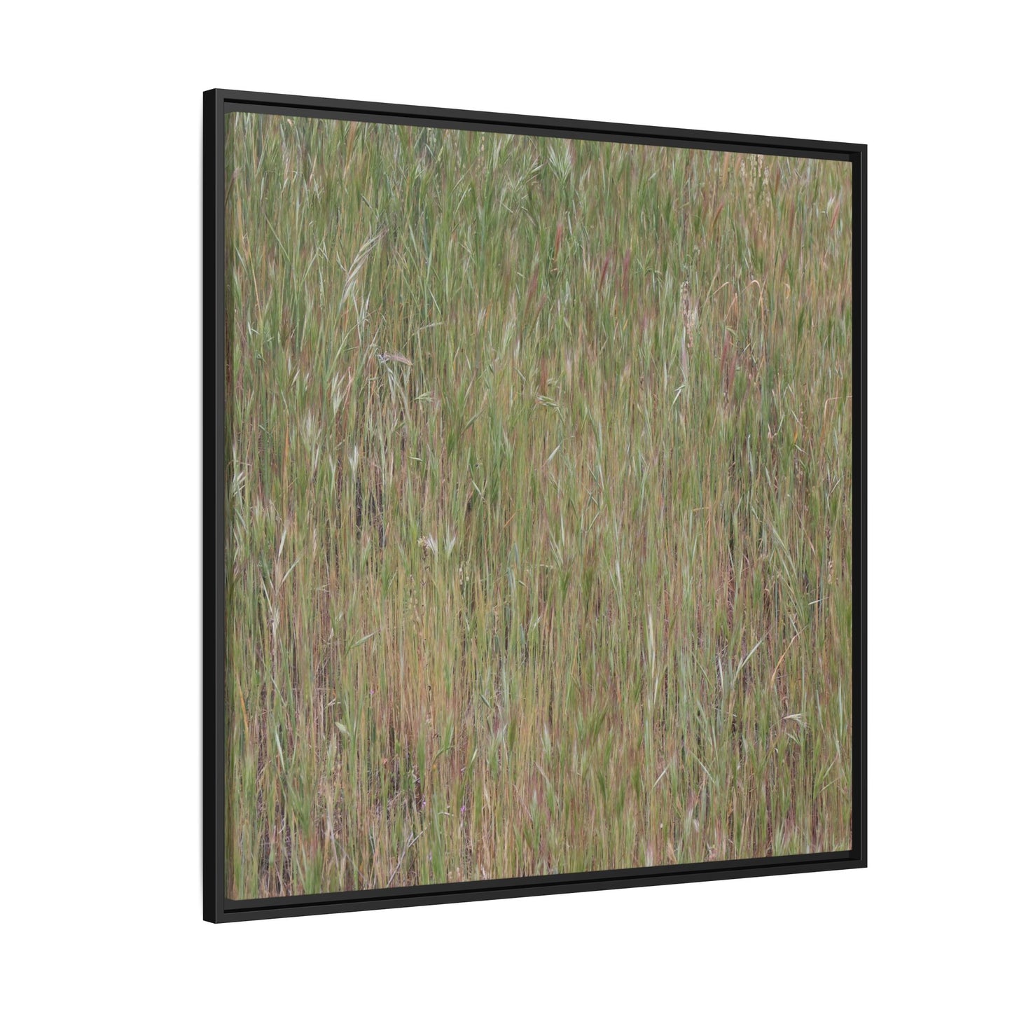 Field of Dreams - Unique Stretched Canvas Wall Art