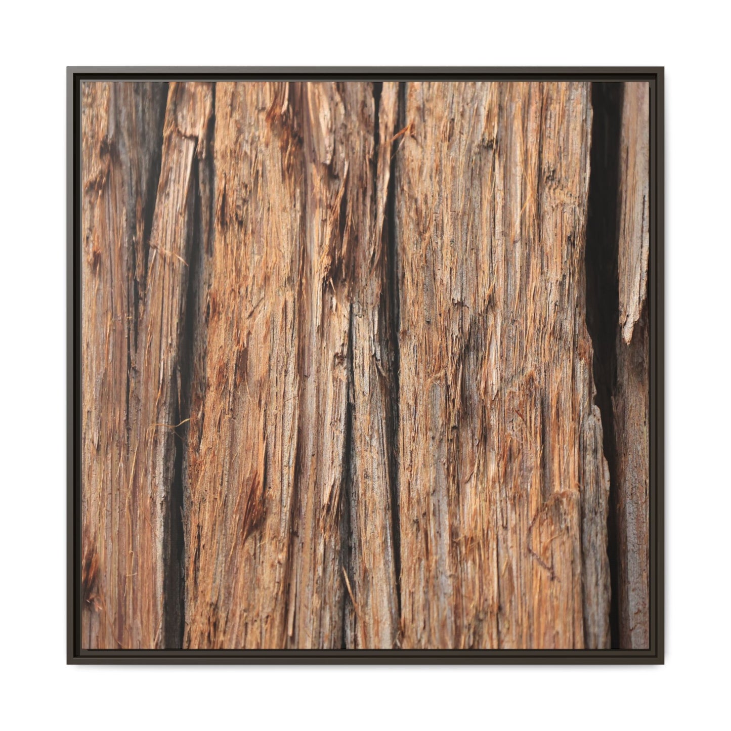 Timber Echoes - Unique Stretched Canvas Wall Art
