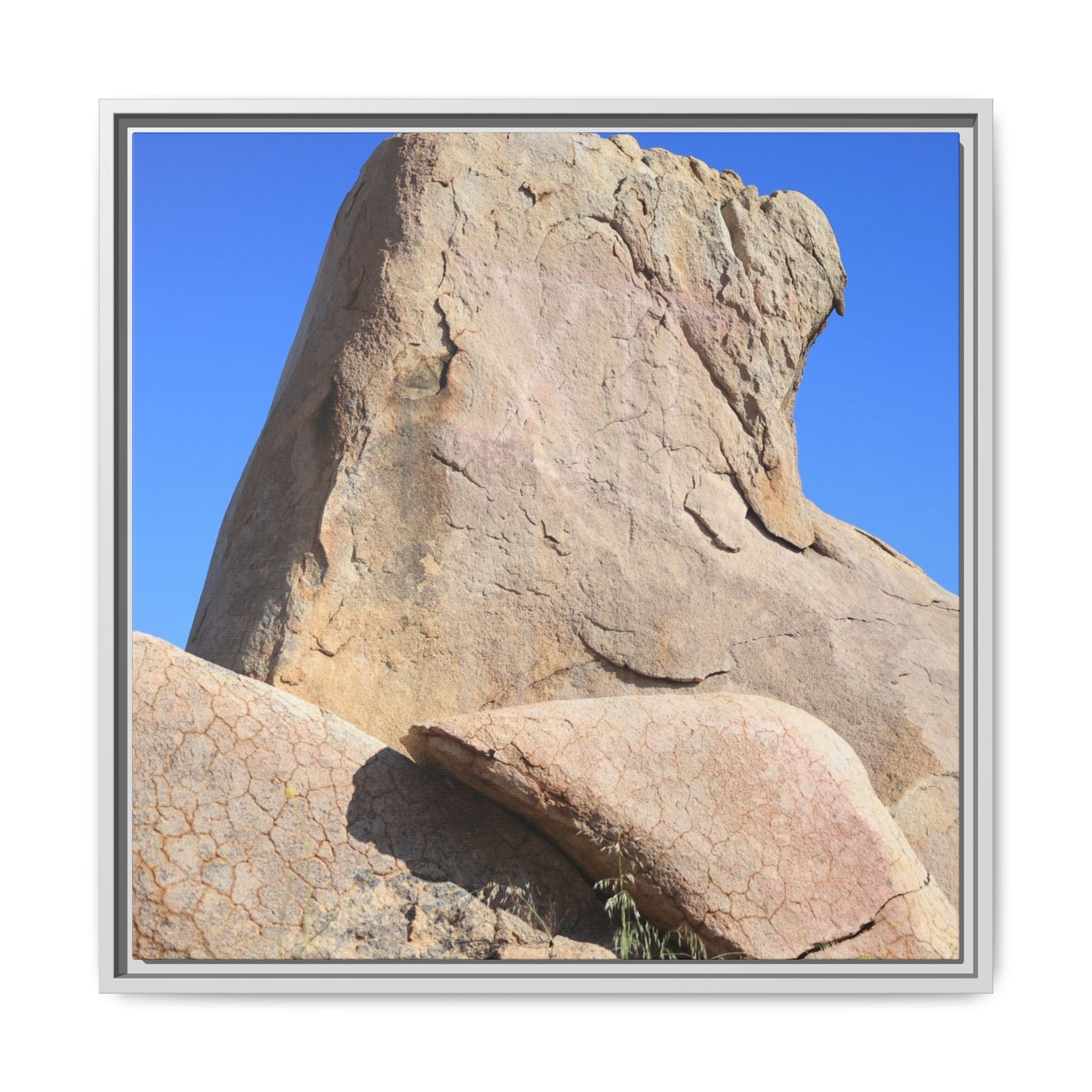 Rocky Sentinel - Unique Stretched Canvas Wall Art