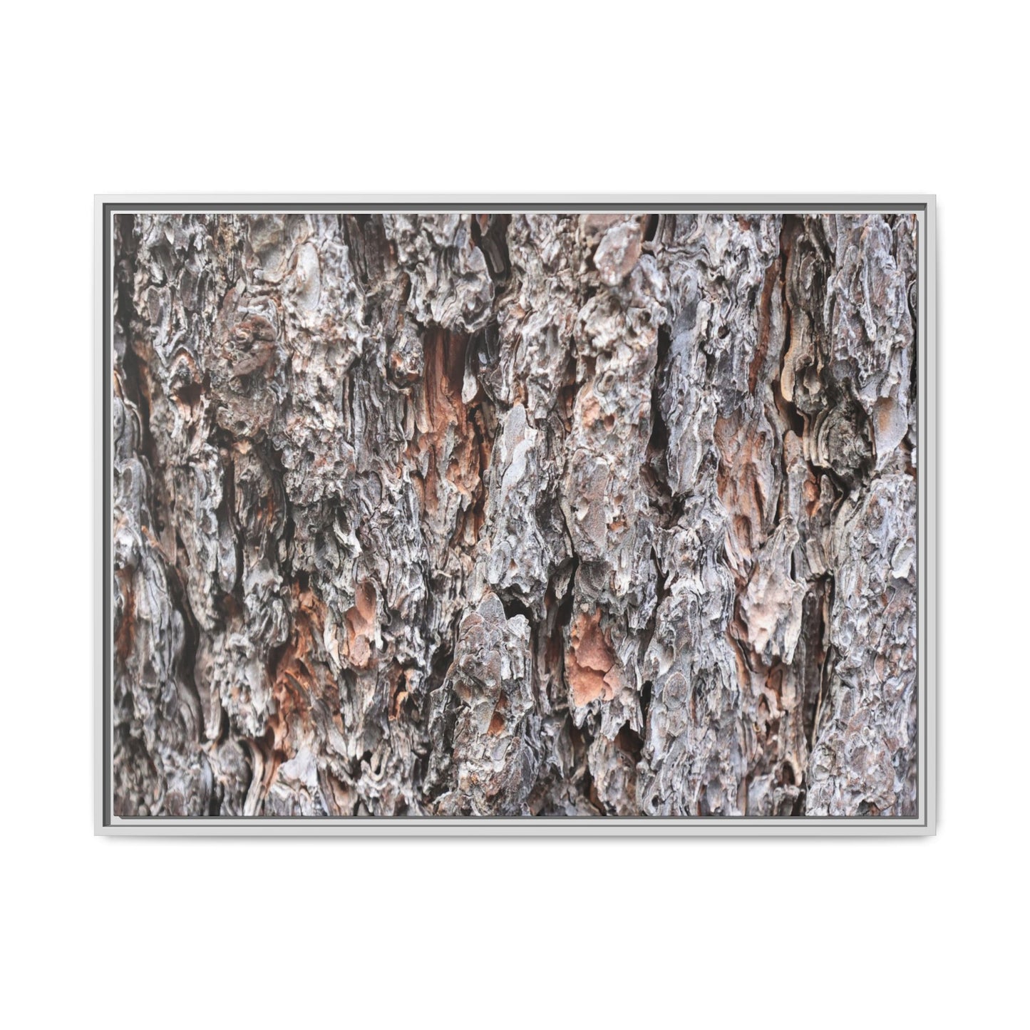 Rugged Cortex - Unique Stretched Canvas Wall Art
