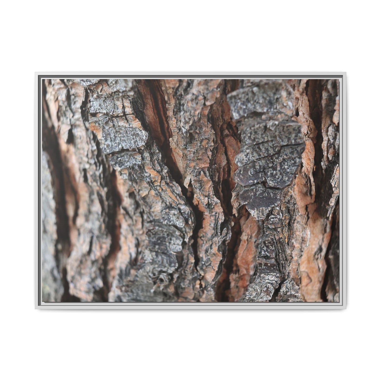 Fractured Nature - Unique Stretched Canvas Wall Art