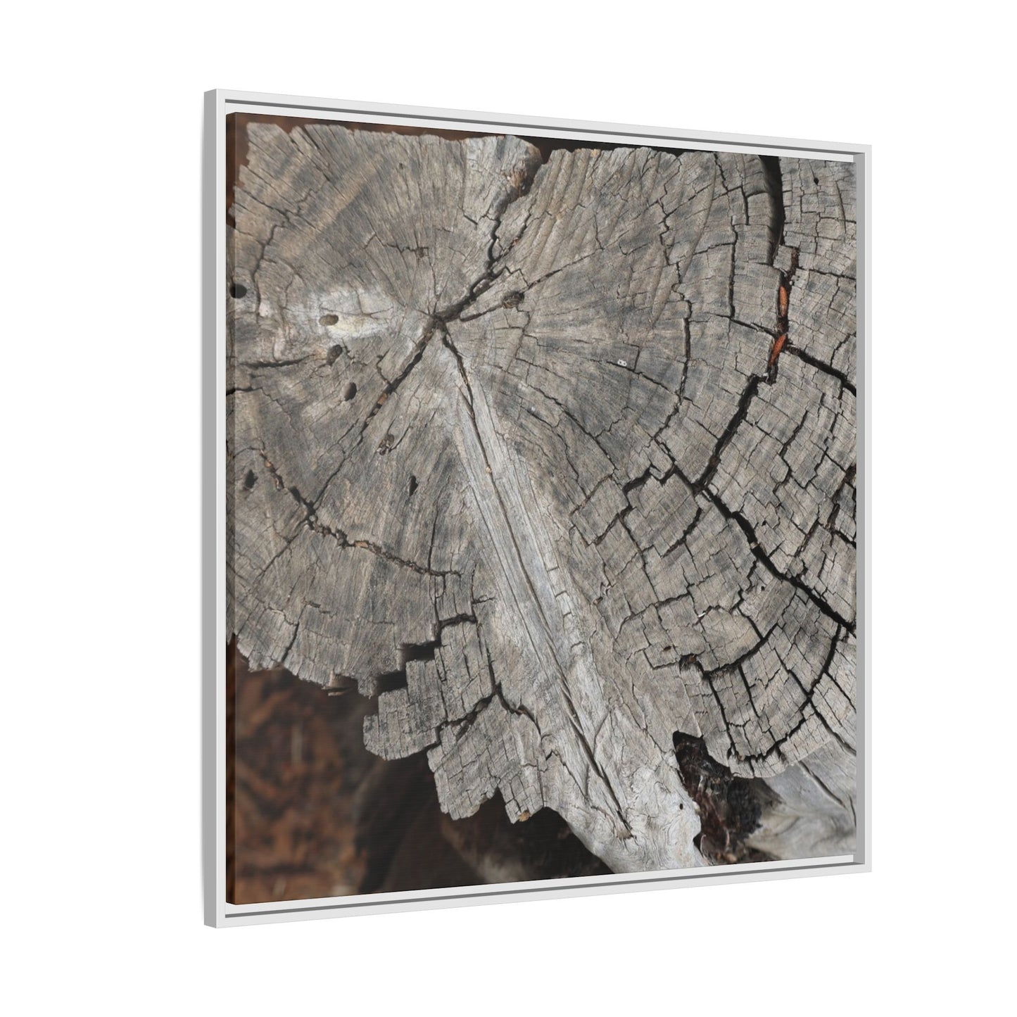 Time's Signature - Unique Stretched Canvas Wall Art