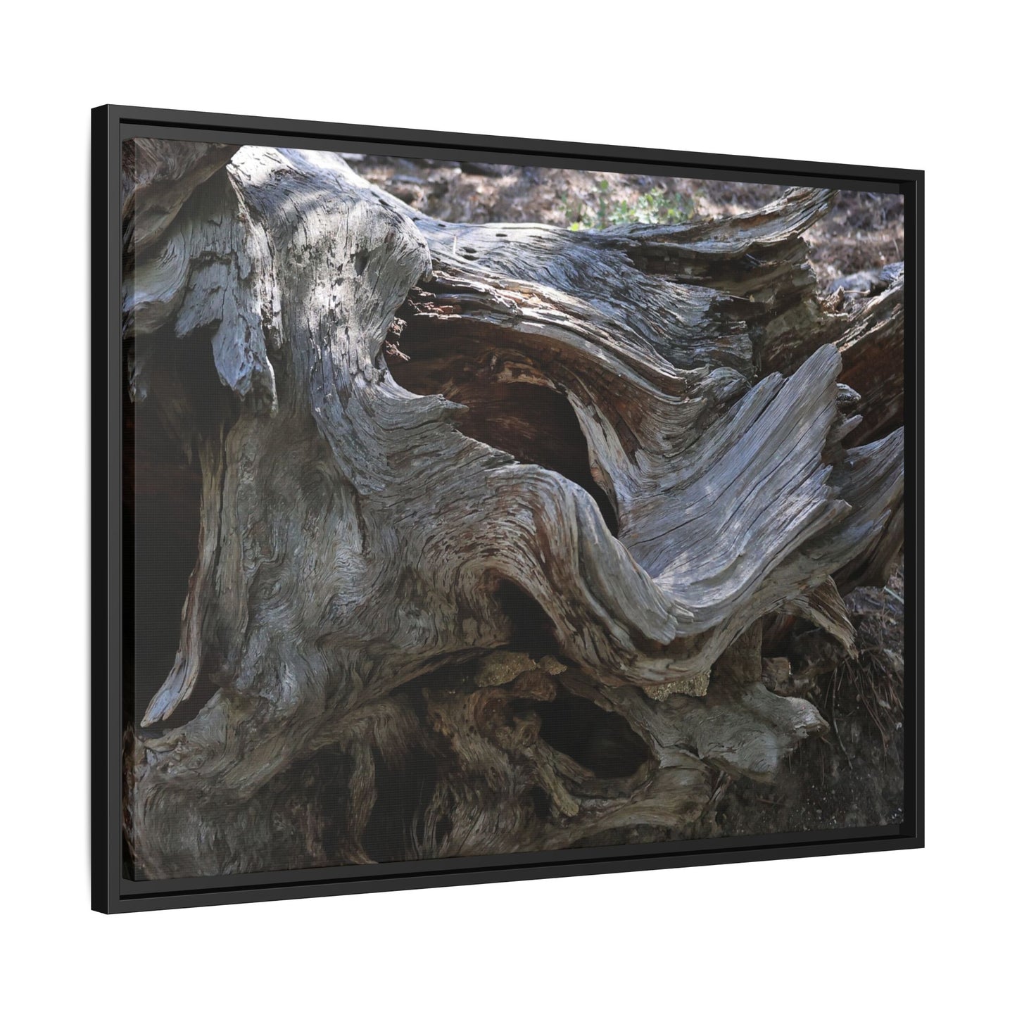 Twisted Memories - Unique Stretched Canvas Wall Art