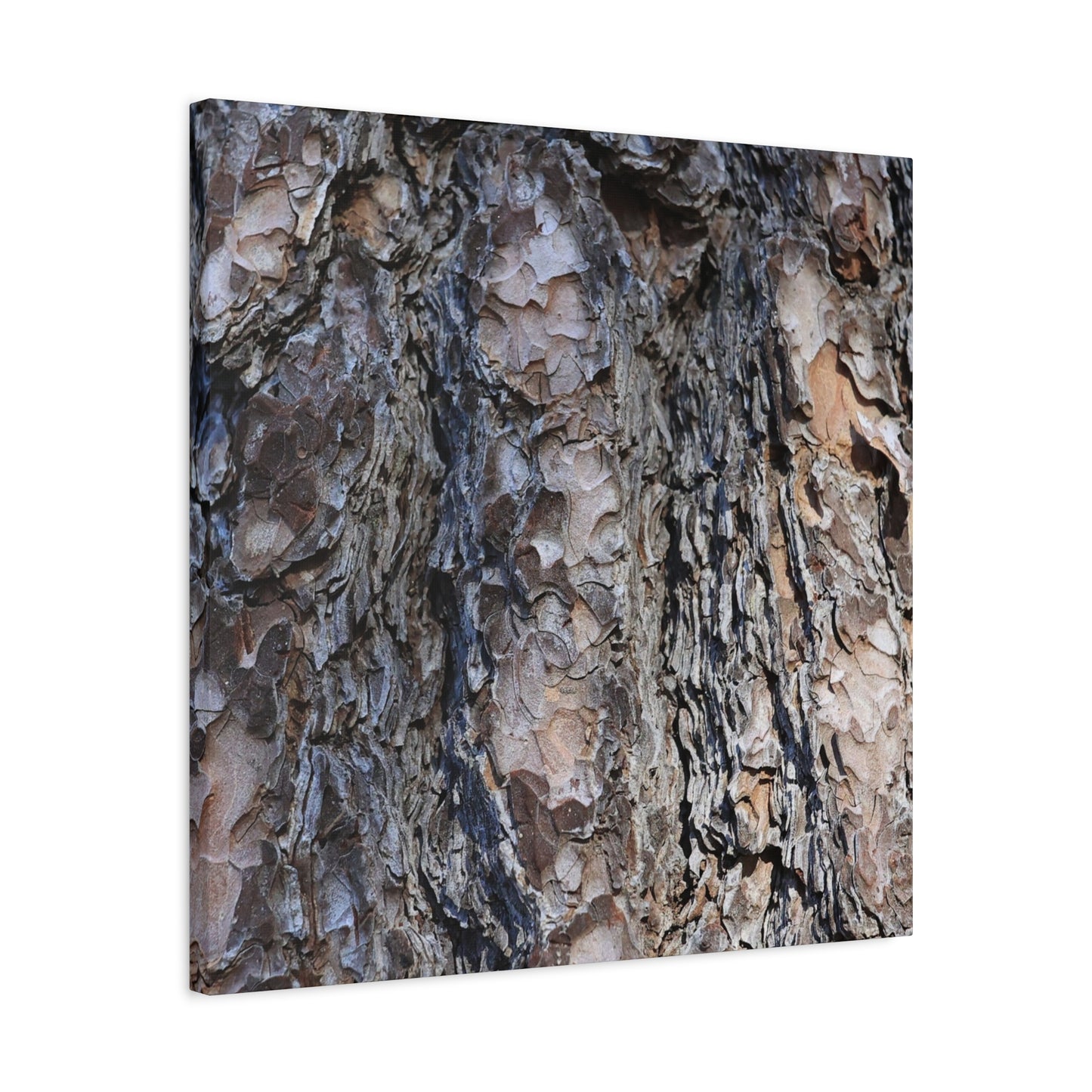 Bark's Rugged Symphony - Unique Frameless Canvas Wall Art