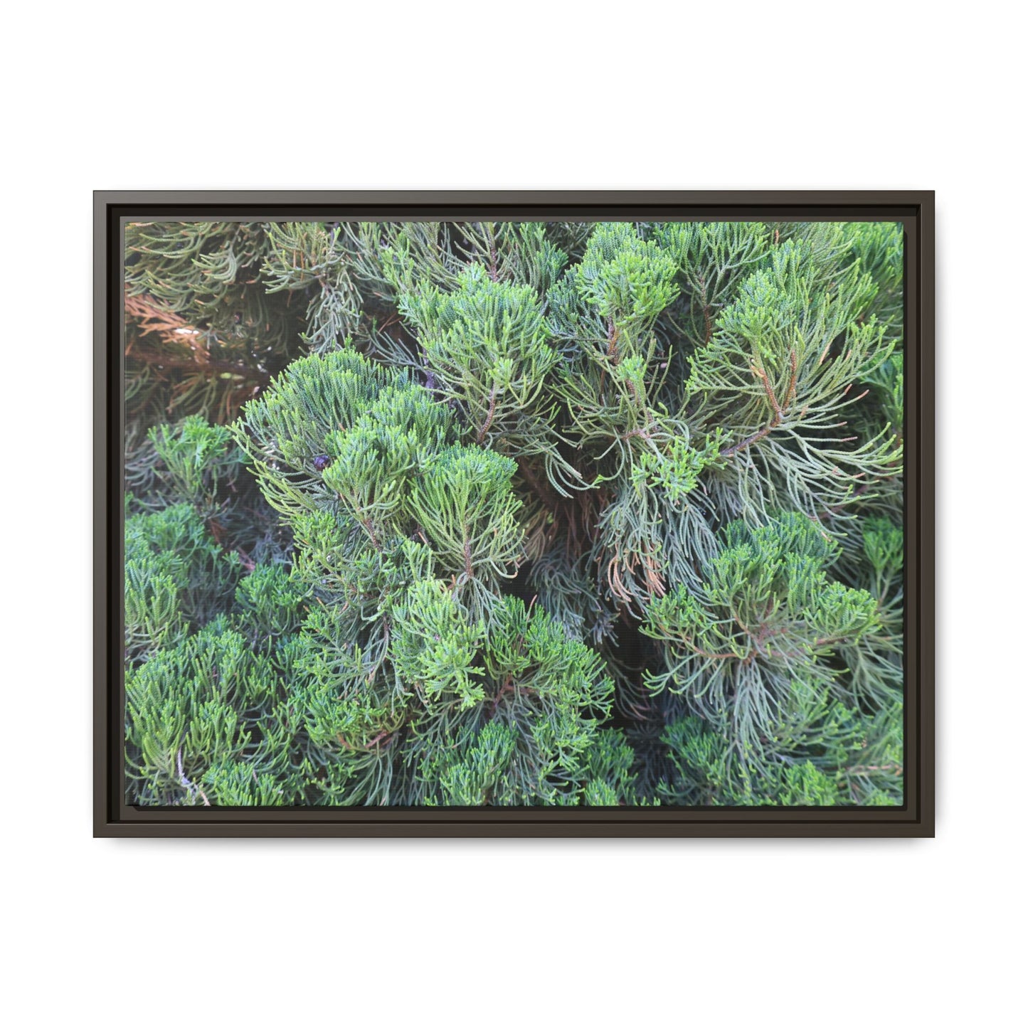 Verdant Whispers - Unique Stretched Canvas Wall Art