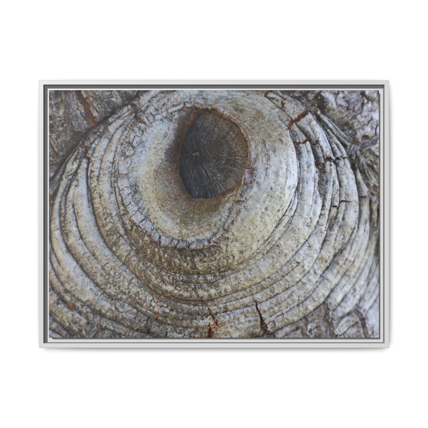 Echoes of Time - Unique Stretched Canvas Wall Art