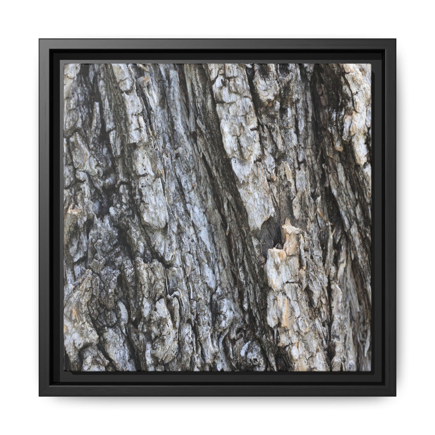 Twisted Textures - Unique Stretched Canvas Wall Art