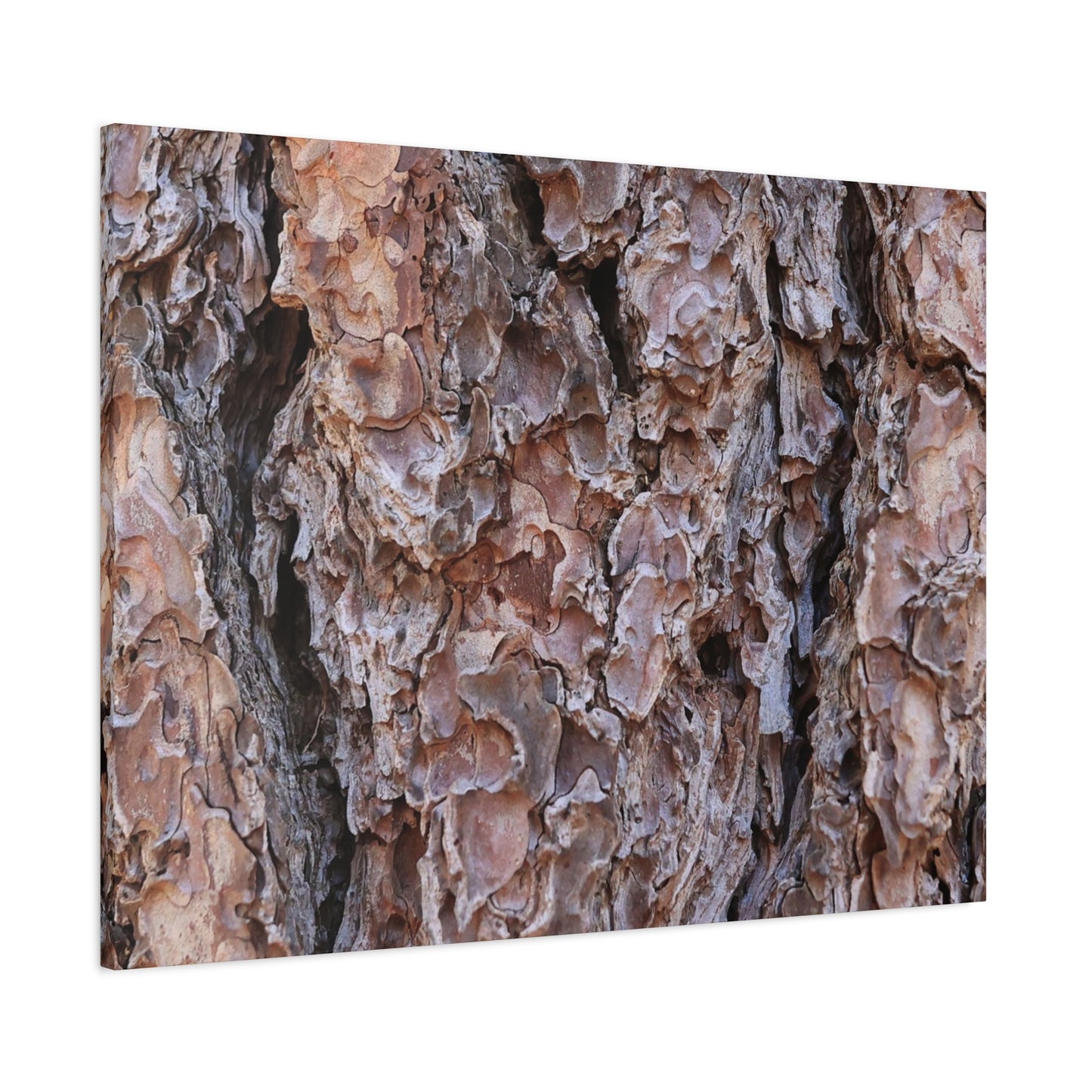 Rough Canvas - Unique Frameless Canvas Wall Art