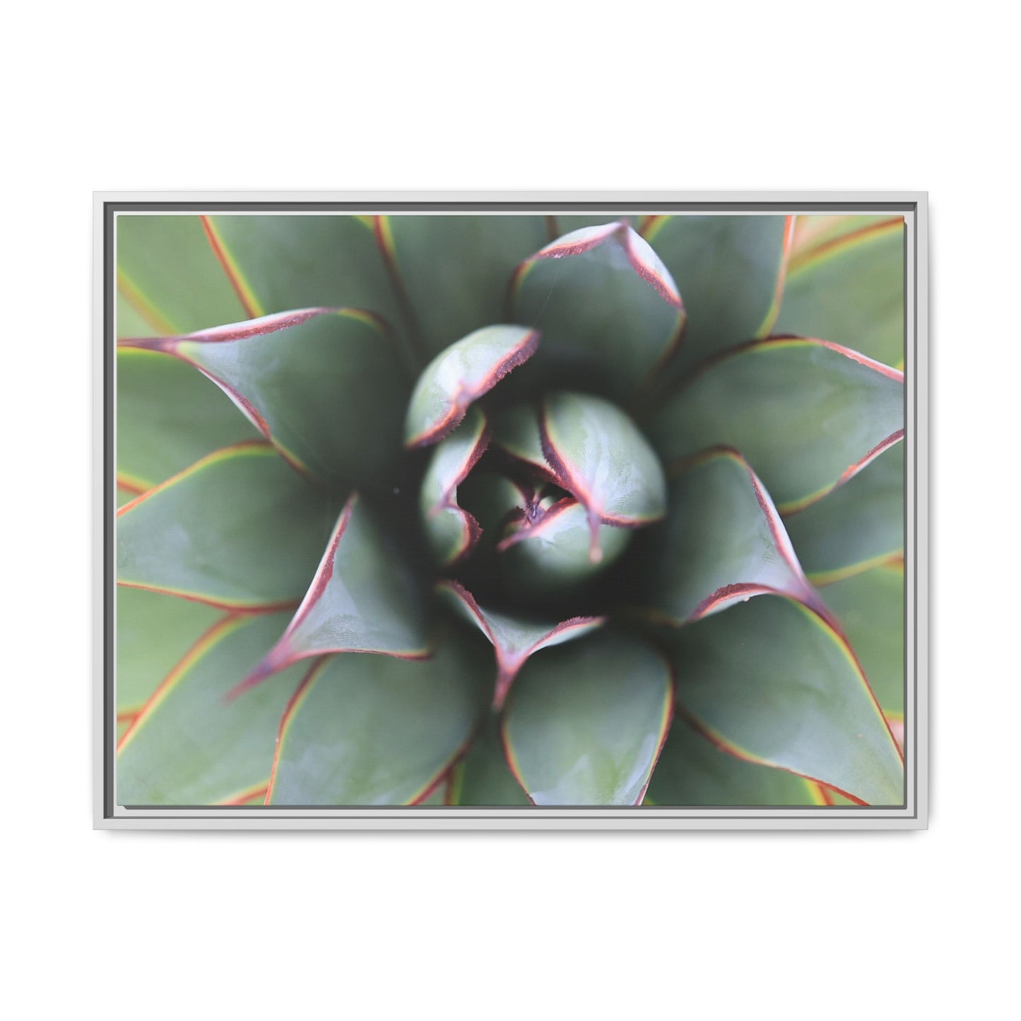 Spiky Elegance - Unique Stretched Canvas Wall Art