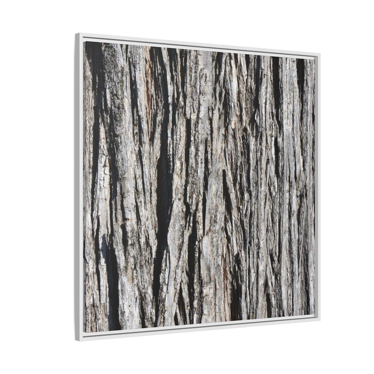 Nature's Abstract - Unique Stretched Canvas Wall Art