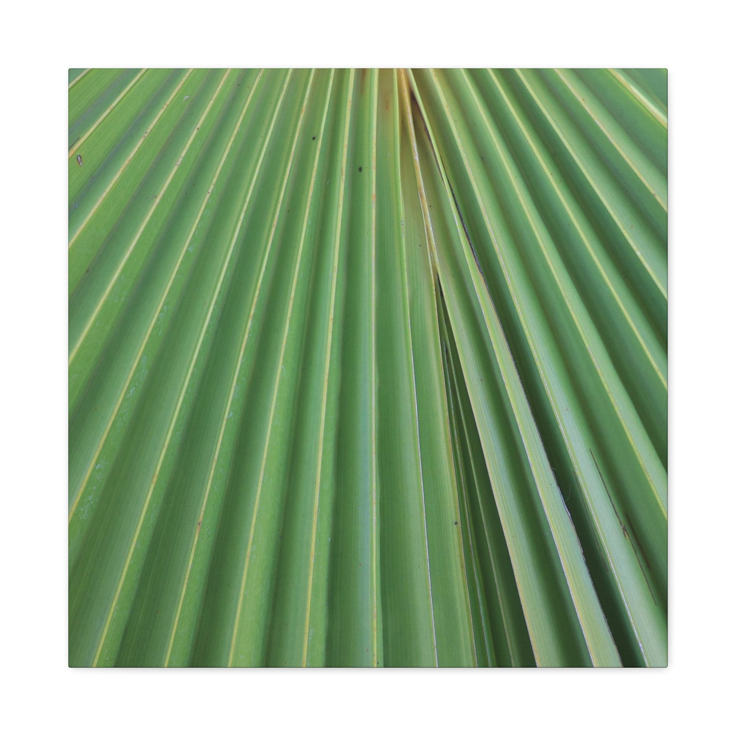 Fan of Green - Unique Frameless Canvas Wall Art