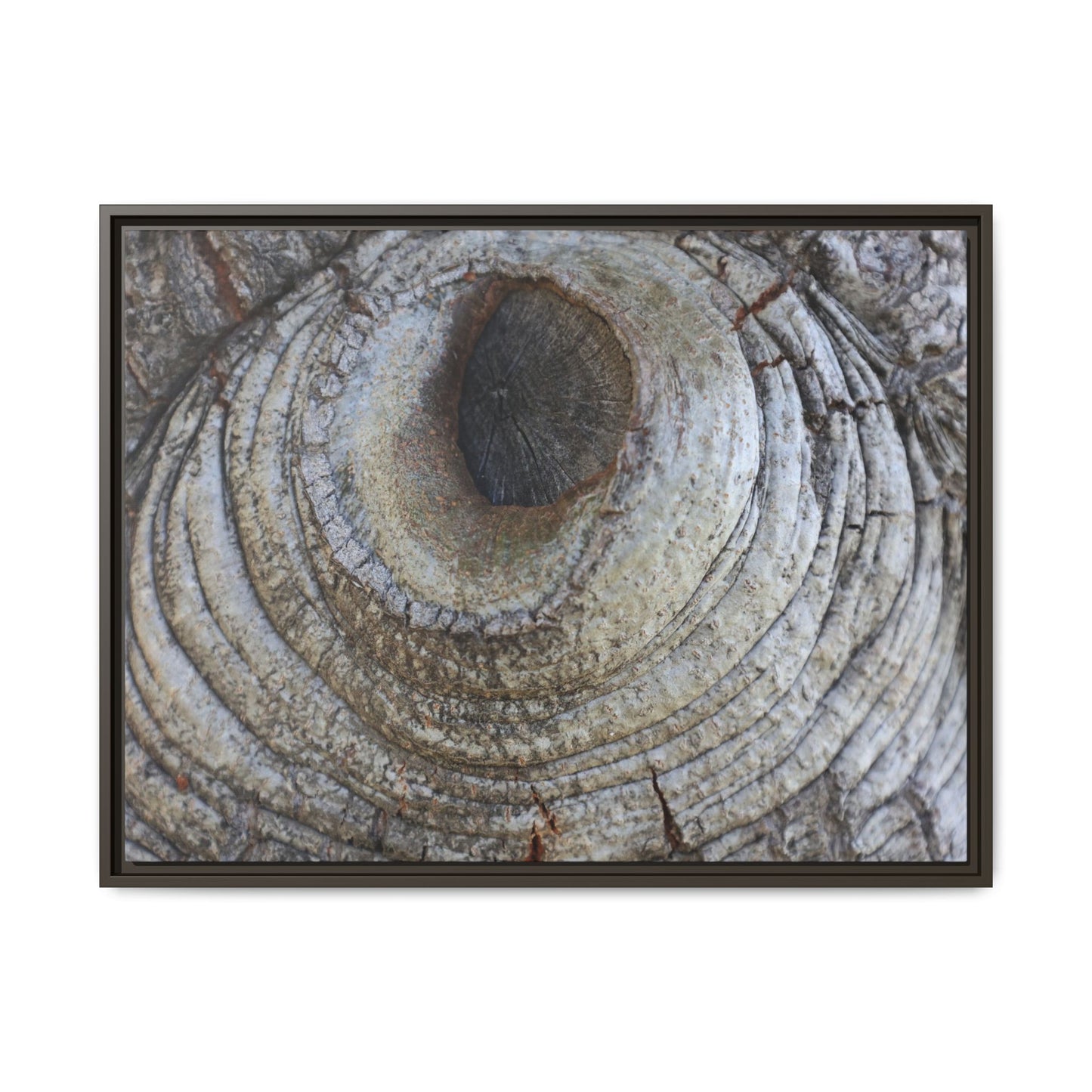Echoes of Time - Unique Stretched Canvas Wall Art