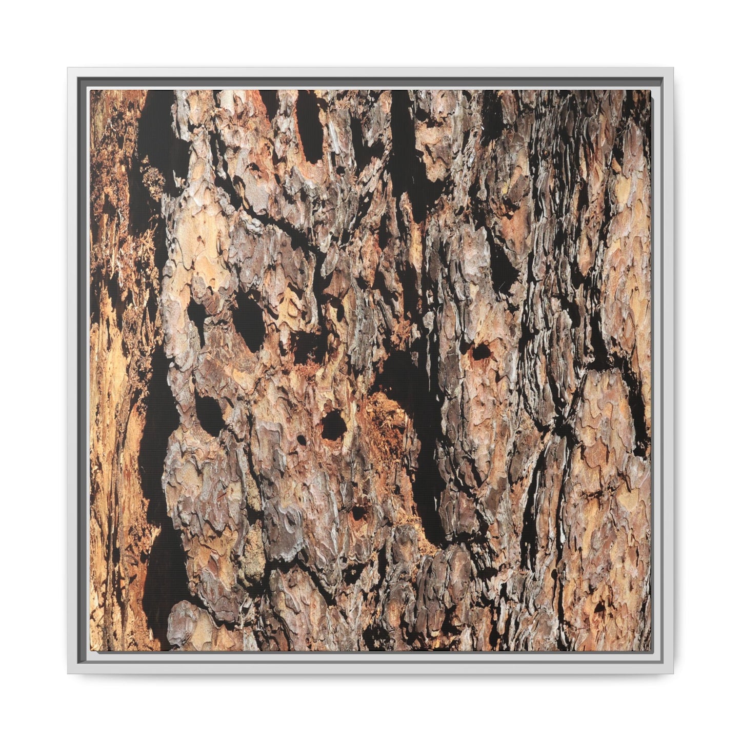 Rugged Rhythms - Unique Stretched Canvas Wall Art