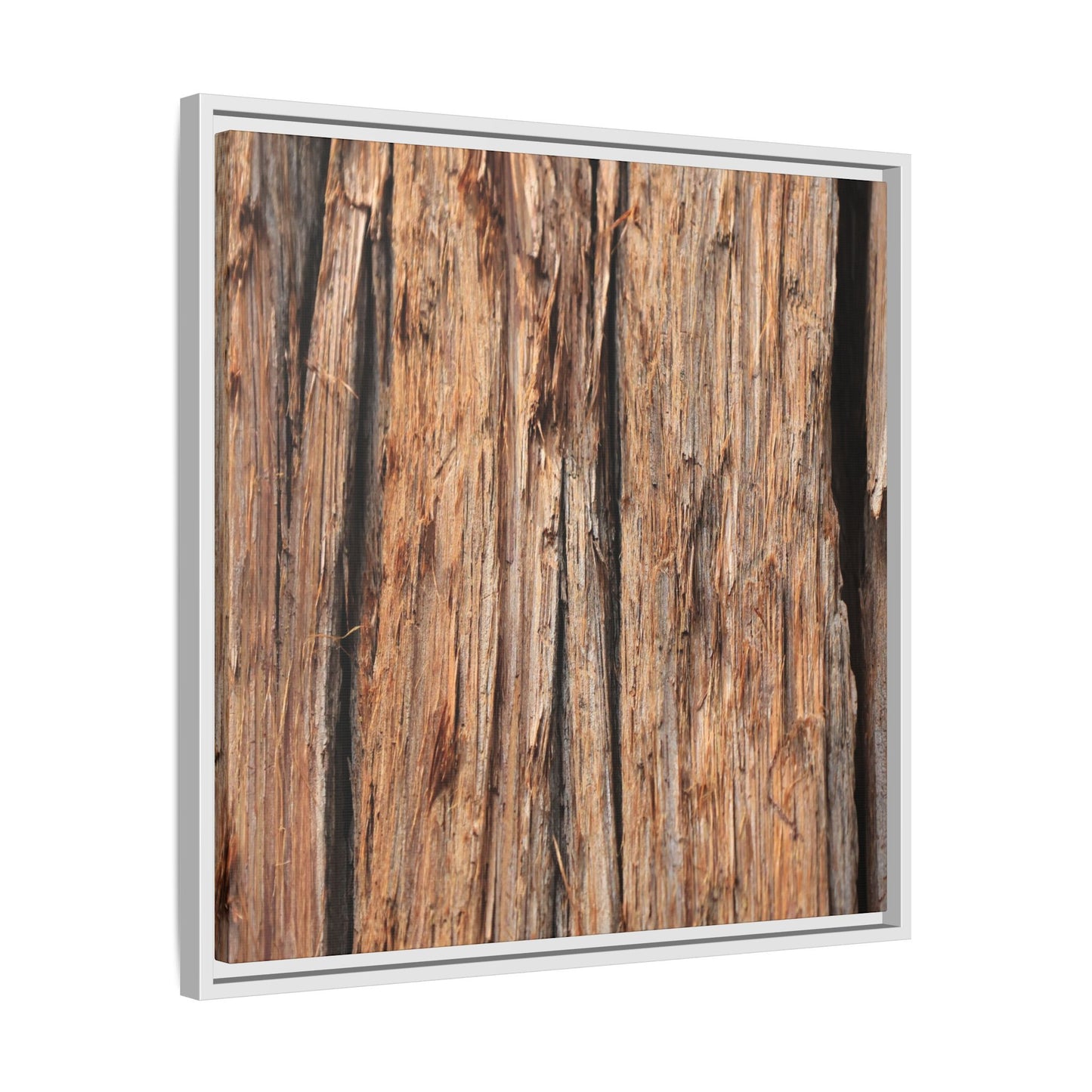 Timber Echoes - Unique Stretched Canvas Wall Art