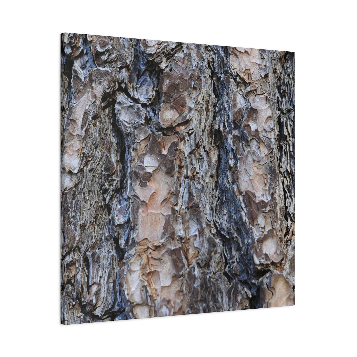 Arboreal Patterns - Unique Frameless Canvas Wall Art