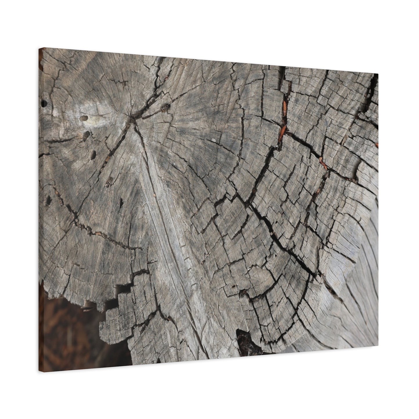 Cracked Memories - Unique Frameless Canvas Wall Art