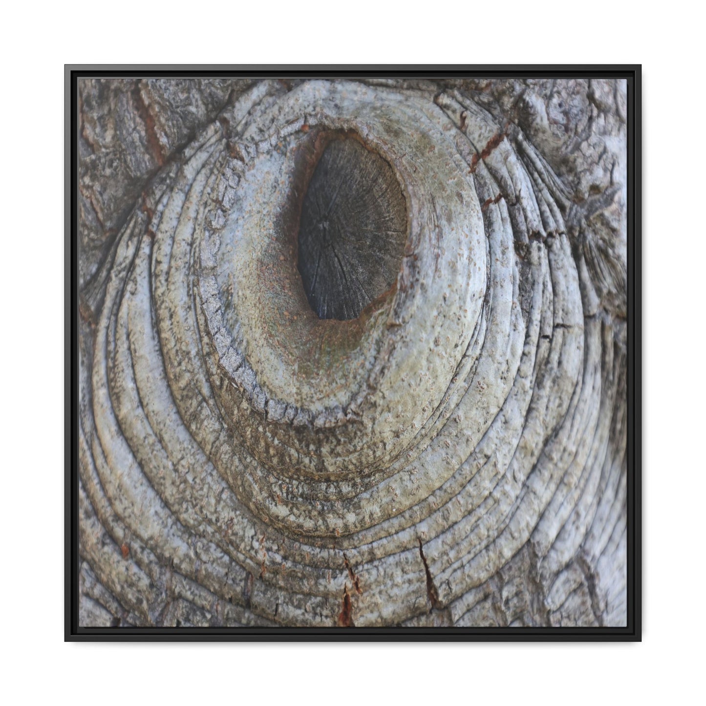 Echoes of Time - Unique Stretched Canvas Wall Art