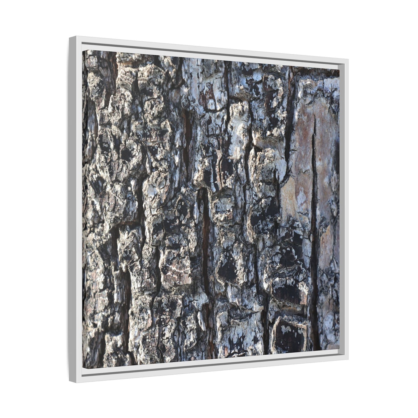 The Bark Chronicles - Unique Stretched Canvas Wall Art