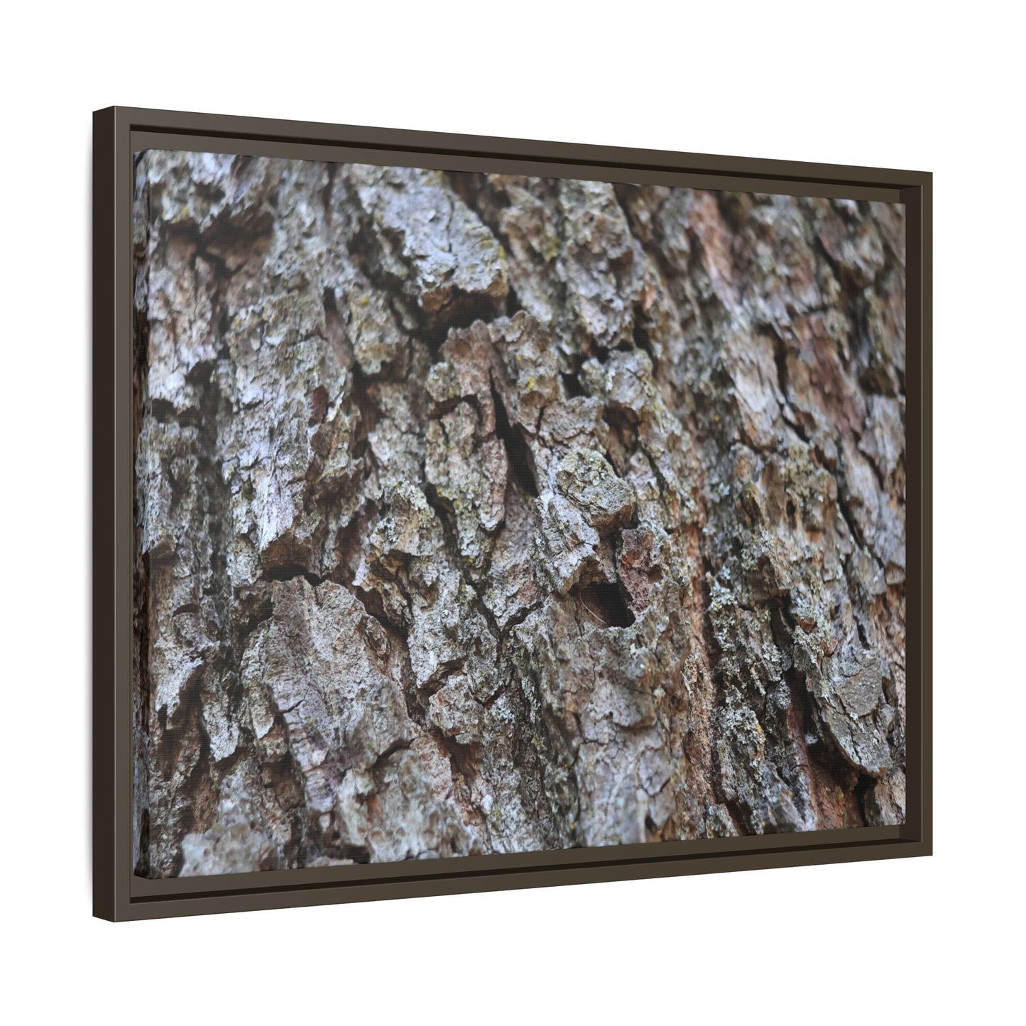 Woodland Canvas - Unique Stretched Canvas Wall Art