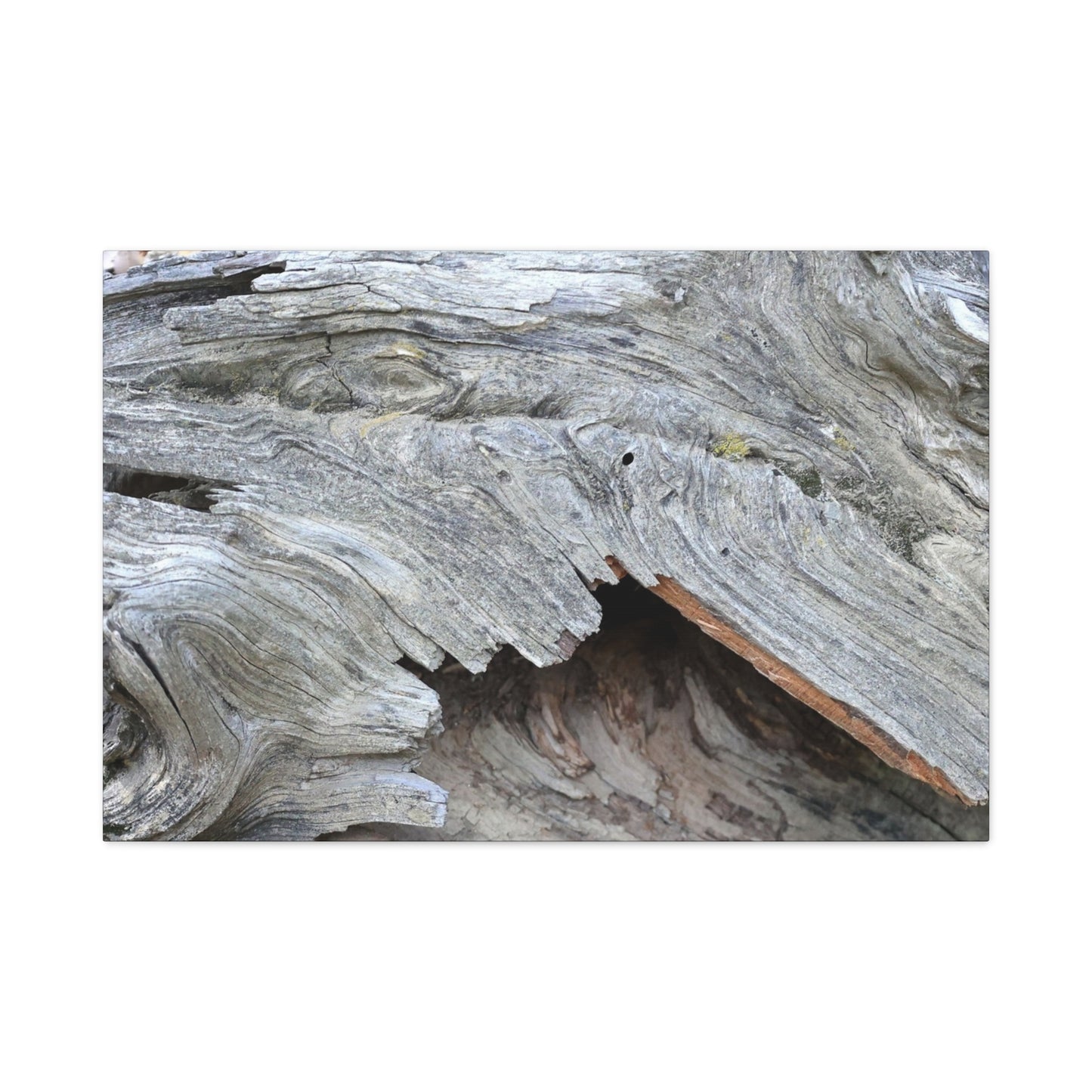 Whispers of Ancient Wood - Unique Frameless Canvas Wall Art