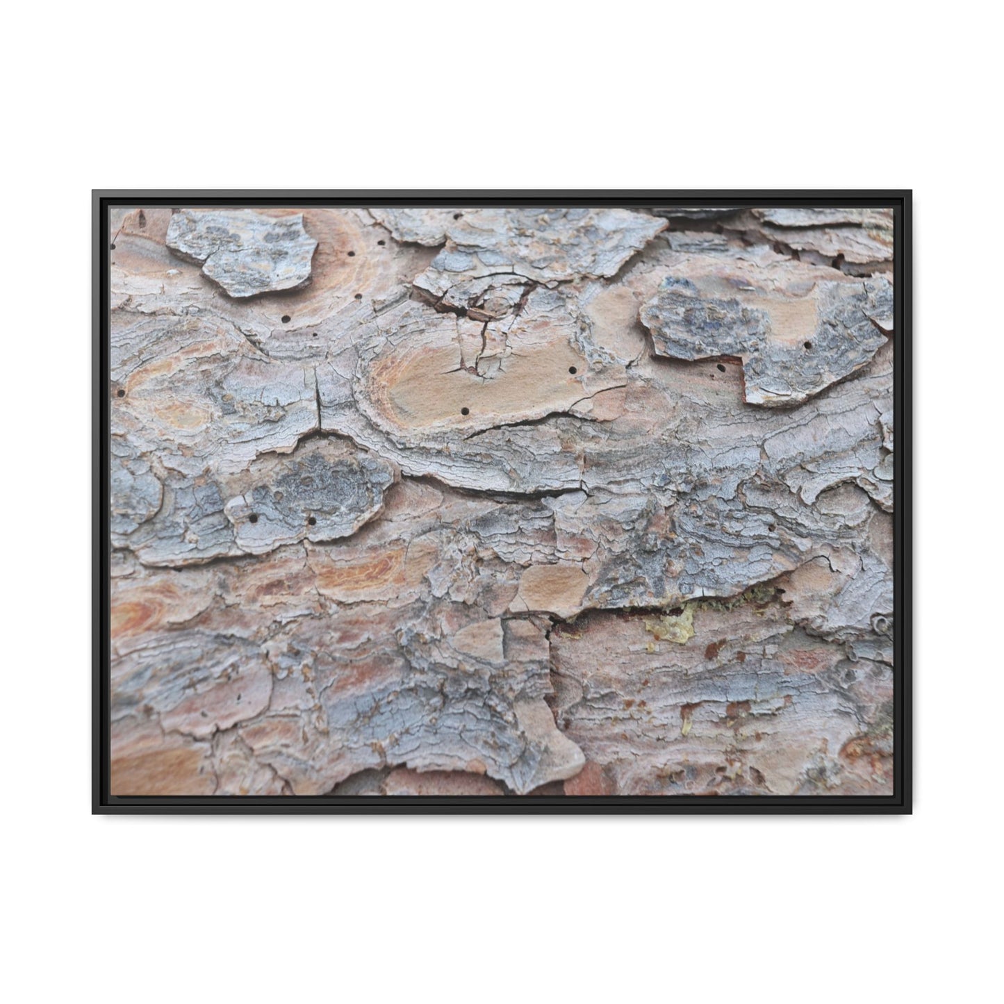 Peeling Memories - Unique Stretched Canvas Wall Art