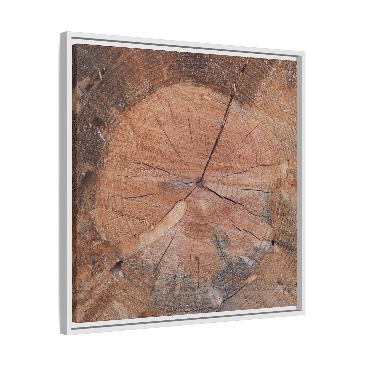 Concentric Memories - Unique Stretched Canvas Wall Art