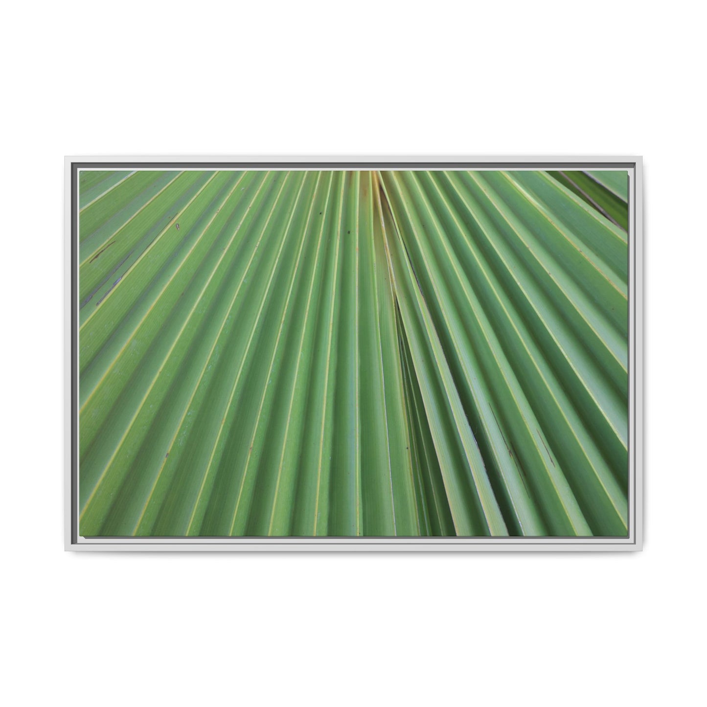 Verdant Veins - Unique Stretched Canvas Wall Art