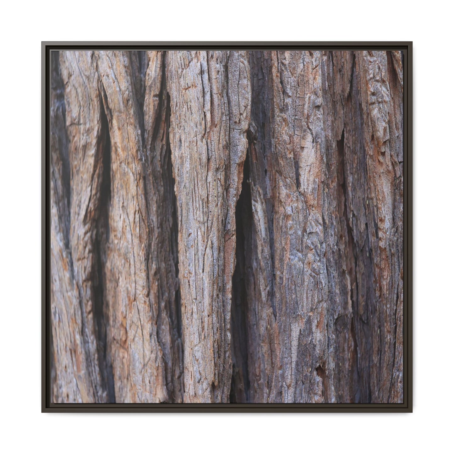 Ancient Grains - Unique Stretched Canvas Wall Art