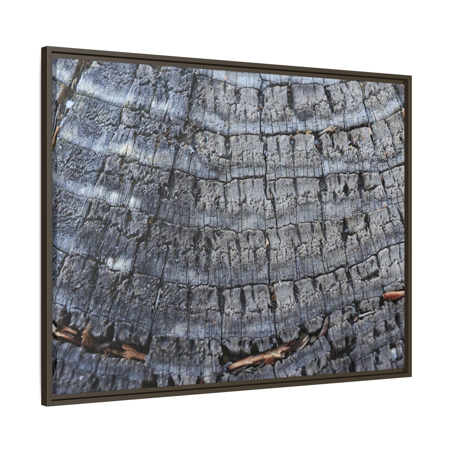 Charred Memories - Unique Stretched Canvas Wall Art