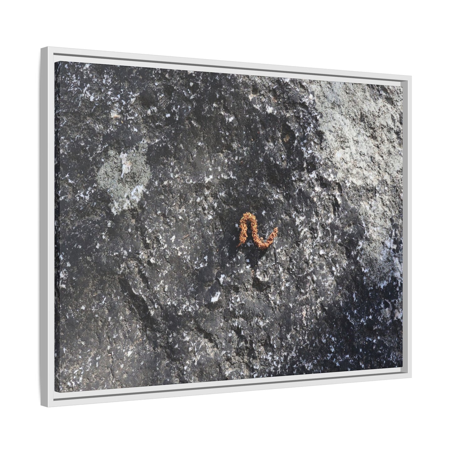 Volcanic Ash and Copper - Unique Stretched Canvas Wall Art