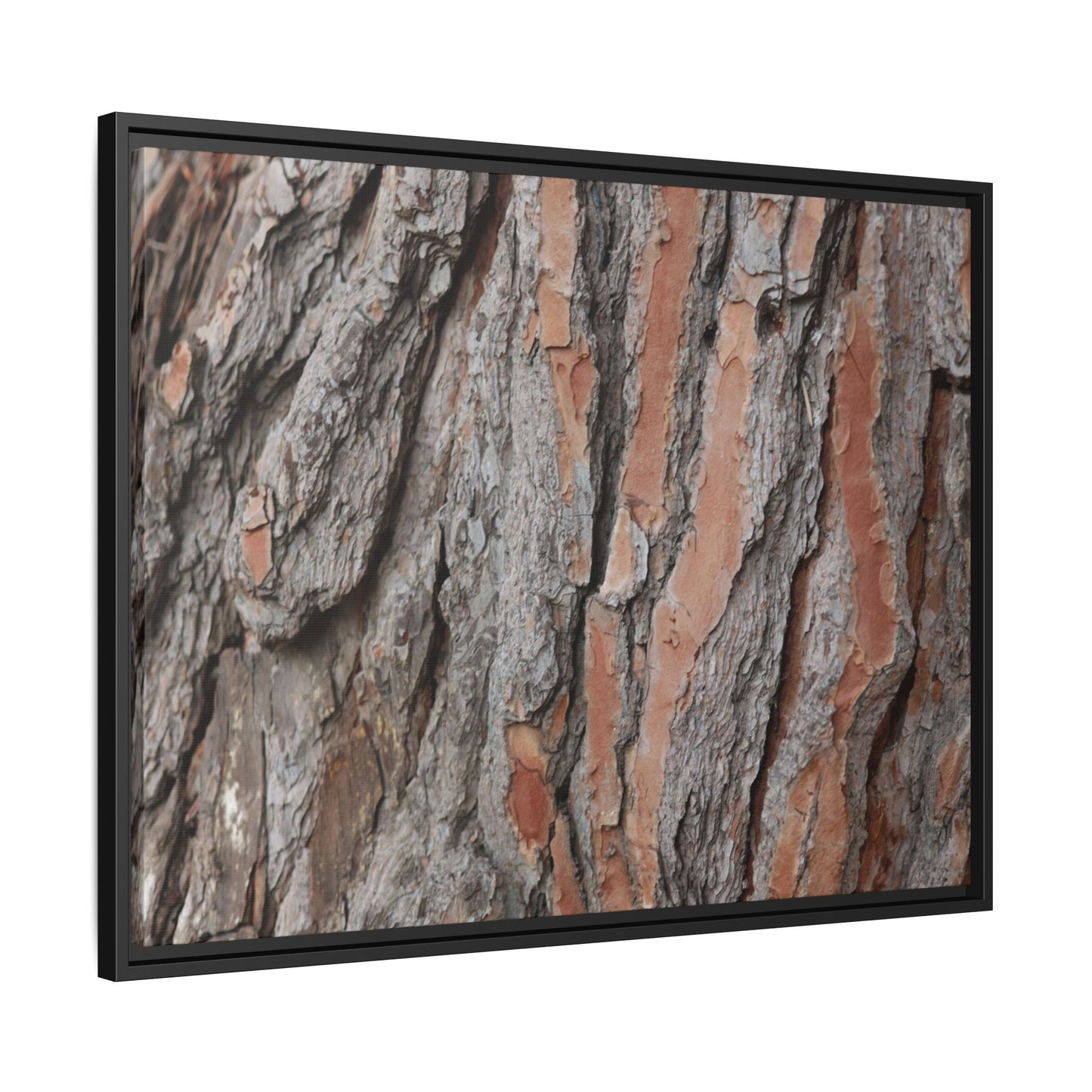 Woodland Layers - Unique Stretched Canvas Wall Art